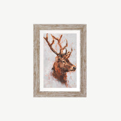 The Stag Study II Wall Art